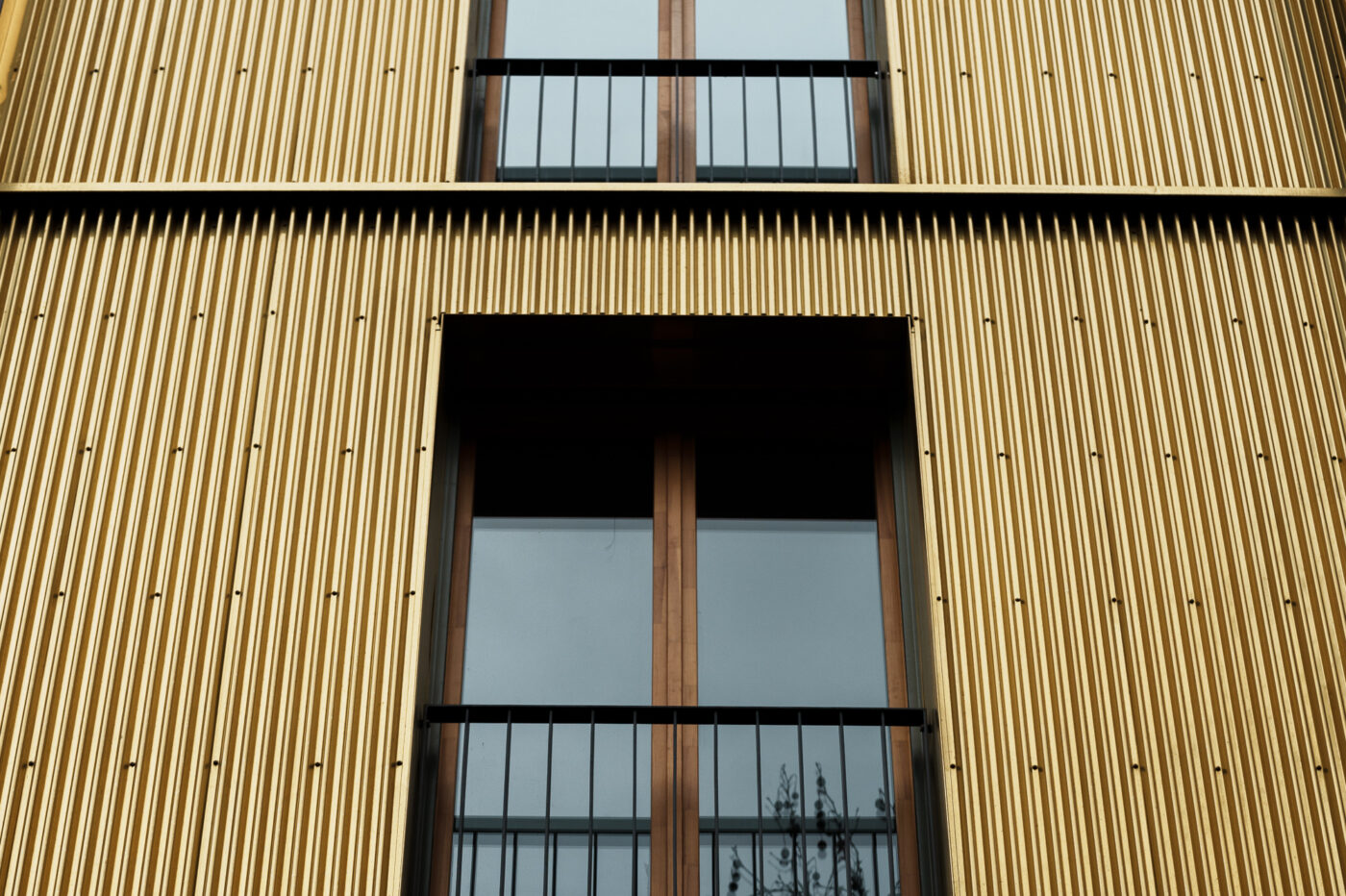 Test SongRaw AF 50 mm f/1,2 Moonlit FE