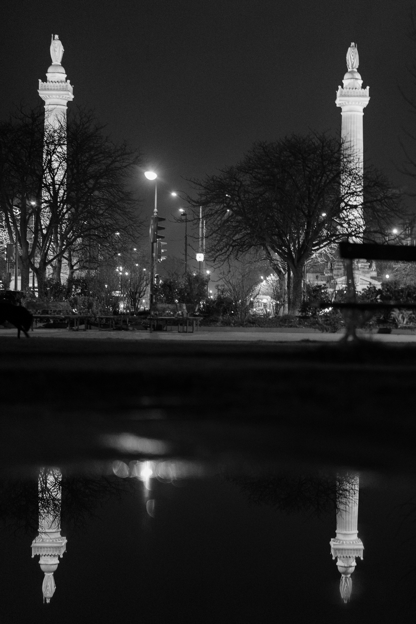 Test SongRaw AF 50 mm f/1,2 Moonlit FE