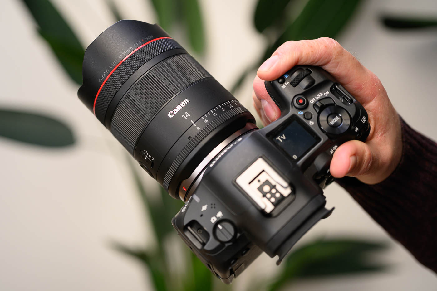 Test Canon RF 14 mm f/1,4 L VCM Phototrend