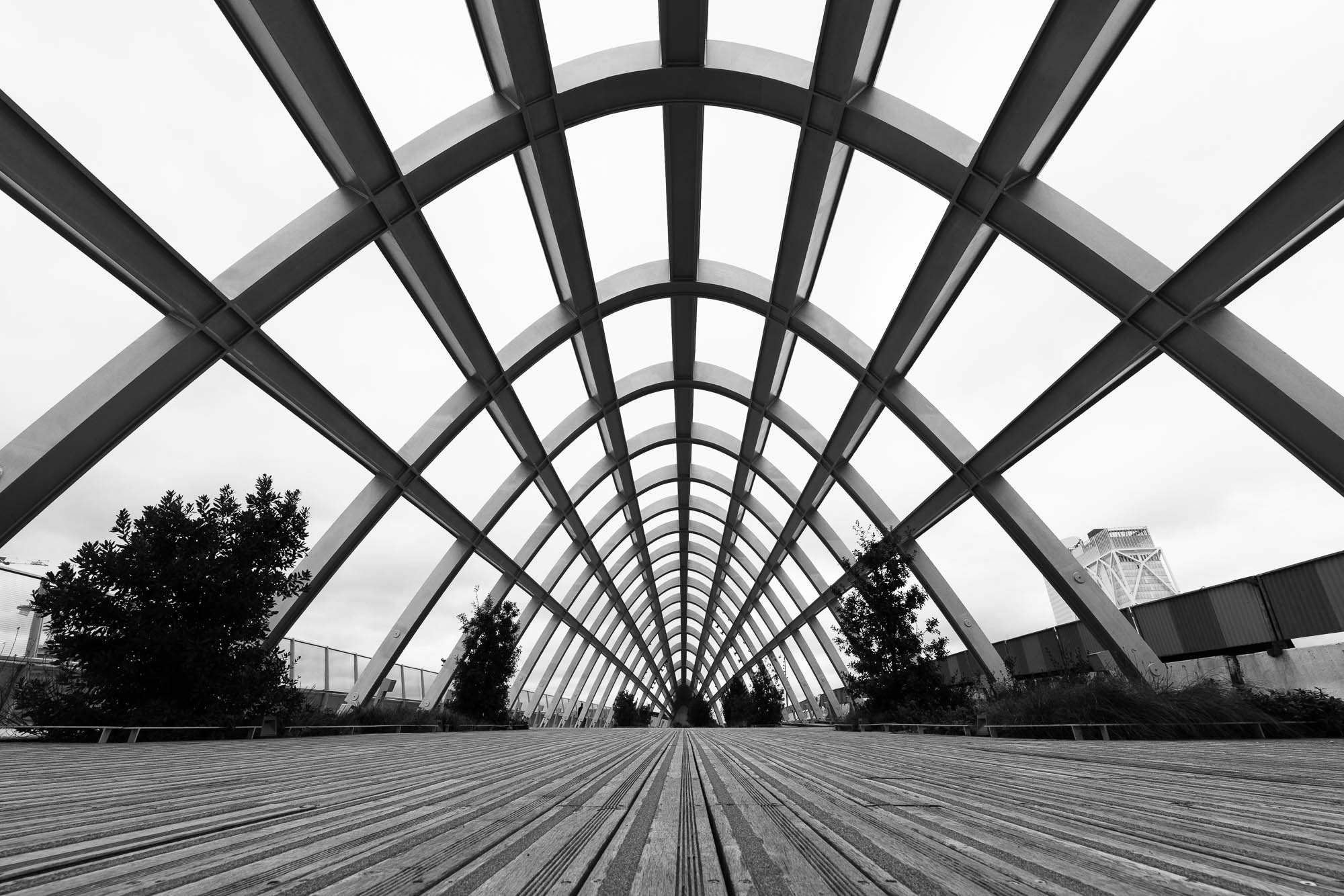 Test Canon RF 14 mm f/1,4 L VCM Phototrend