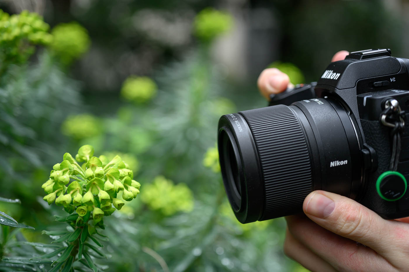 Test Nikkor Z DX MC 35 mm f/1,7 Phototrend