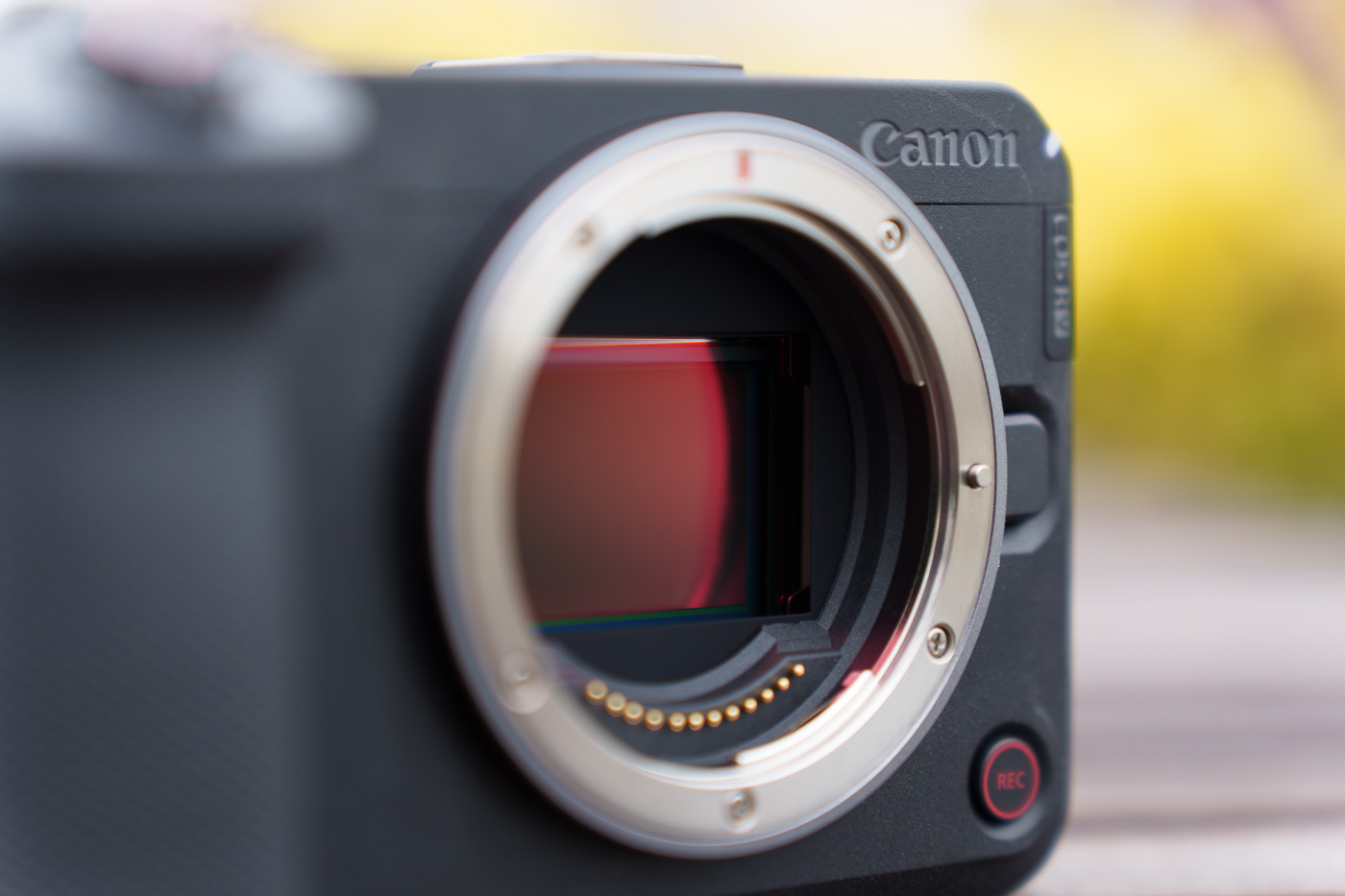 Canon EOS R6V