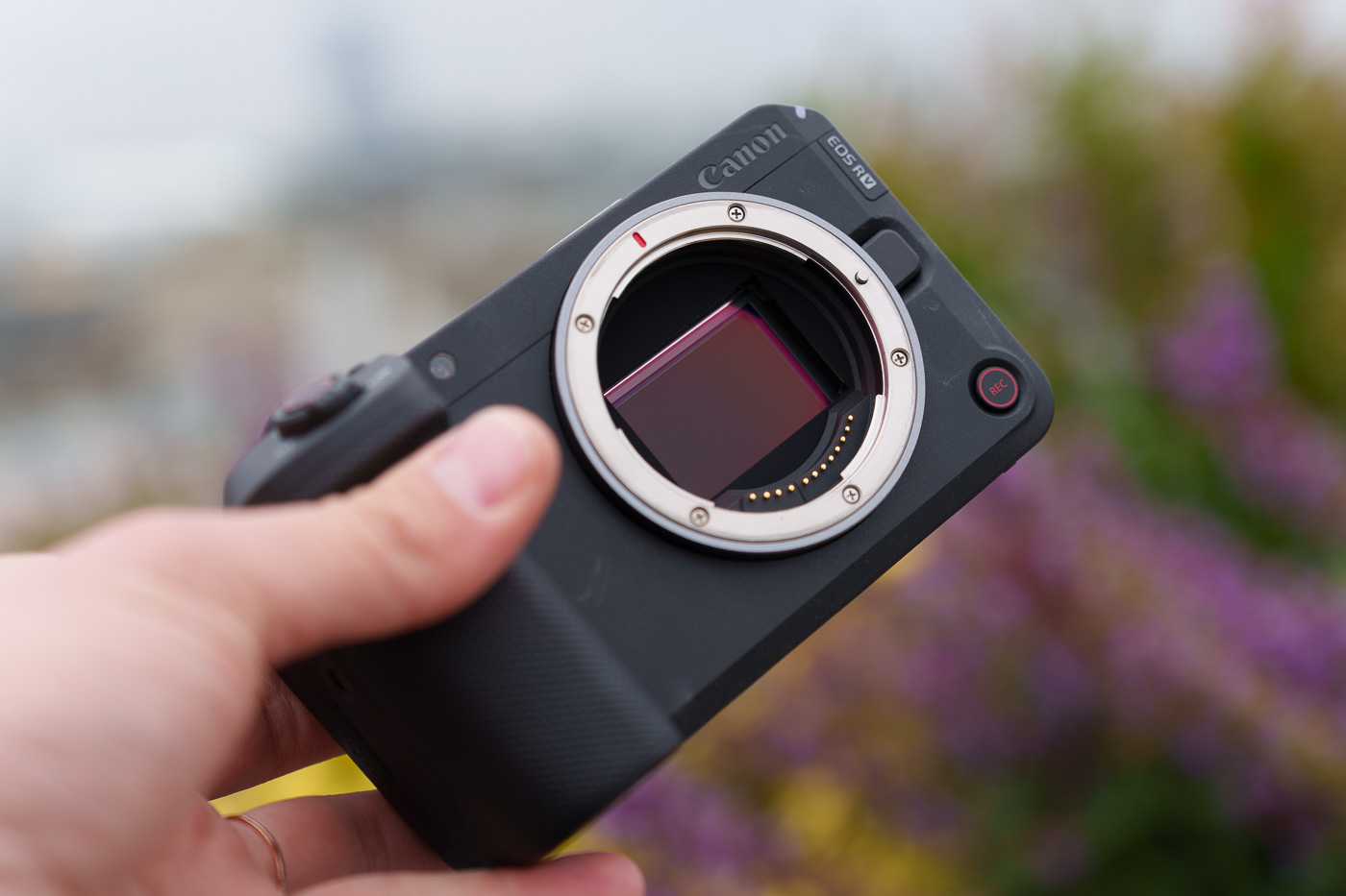 Canon EOS R6V