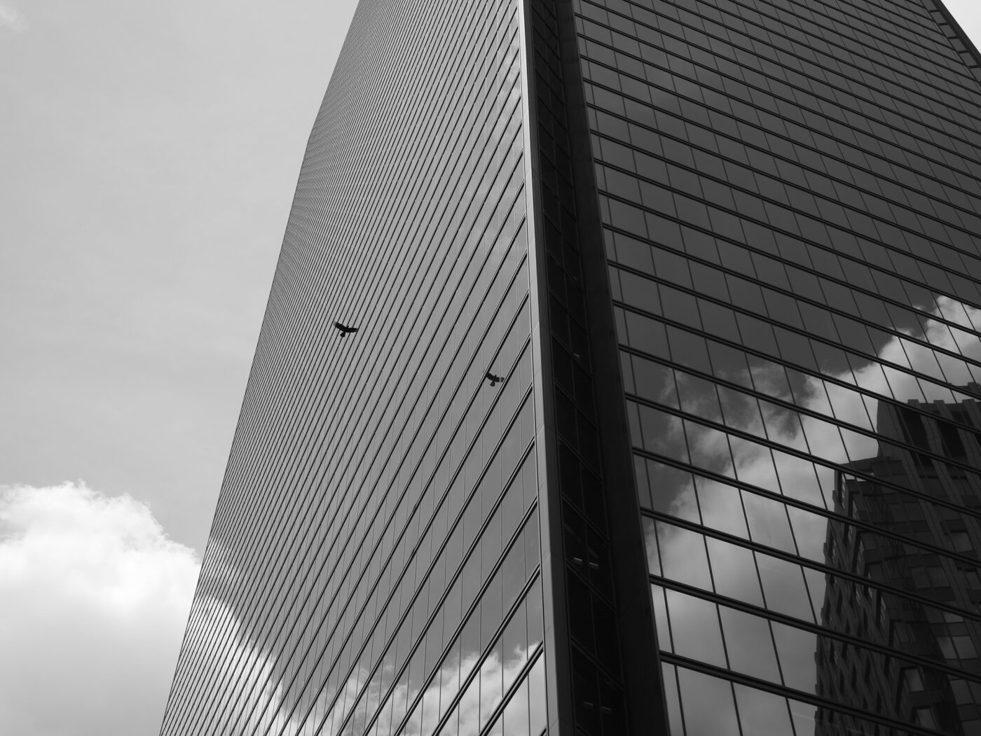 Panasonic Lumix S 40 mm f/2