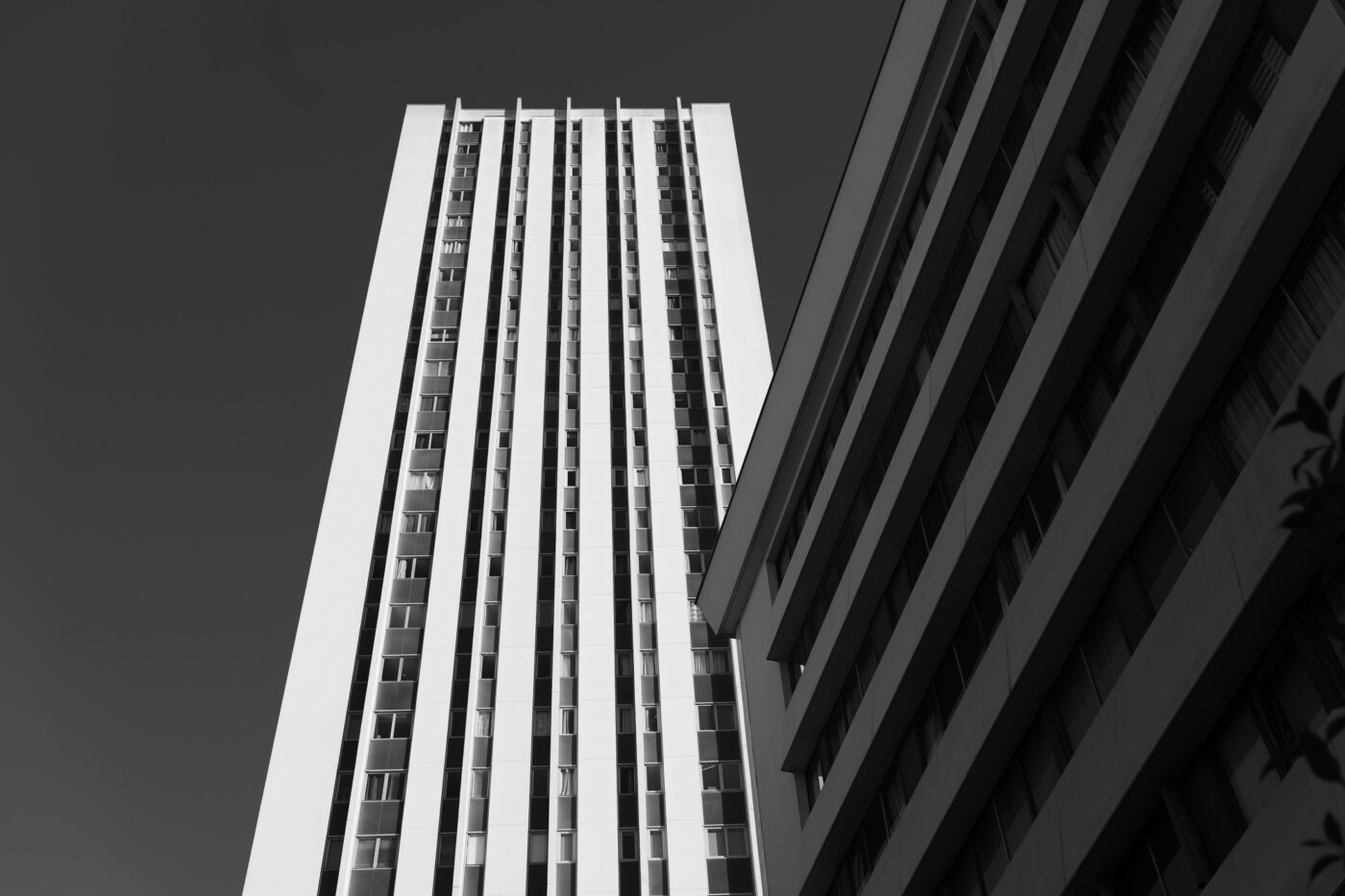 Panasonic Lumix S 40 mm f/2