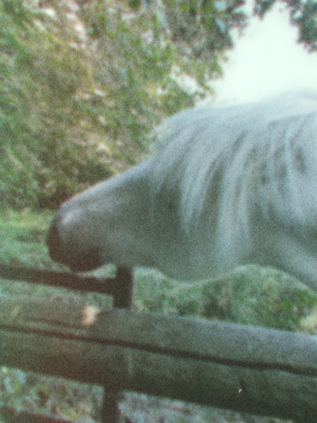 Test Fujifilm Instax Mini Evo Cinema