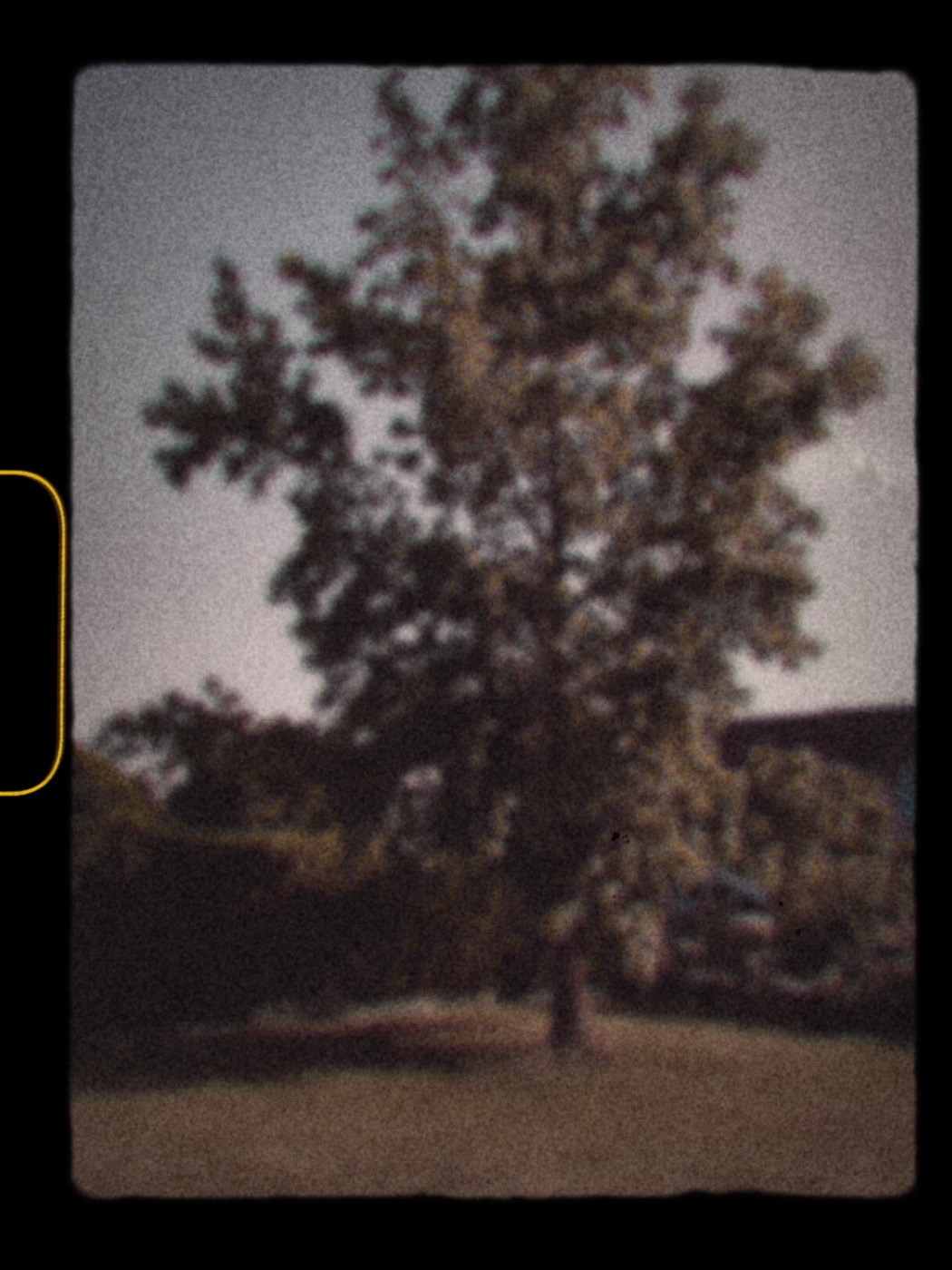 Test Fujifilm Instax Mini Evo Cinema