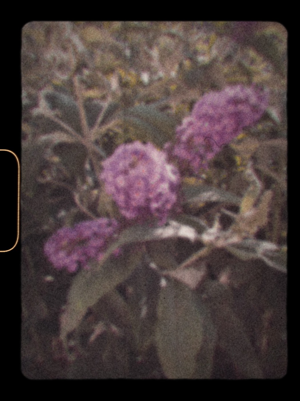 Test Fujifilm Instax Mini Evo Cinema