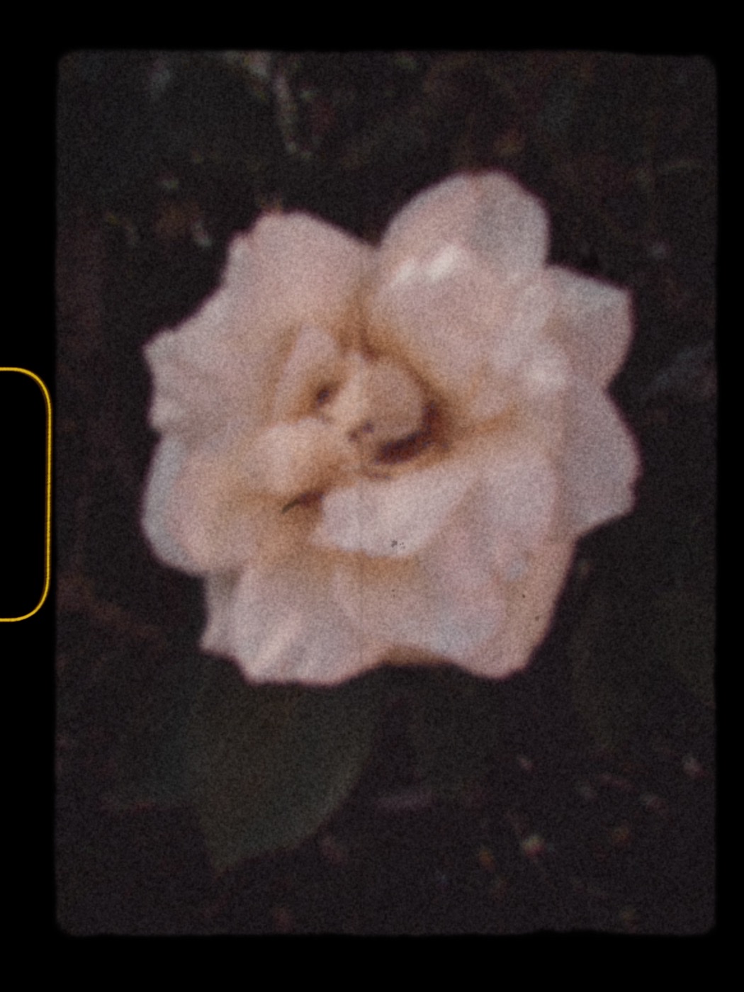Test Fujifilm Instax Mini Evo Cinema